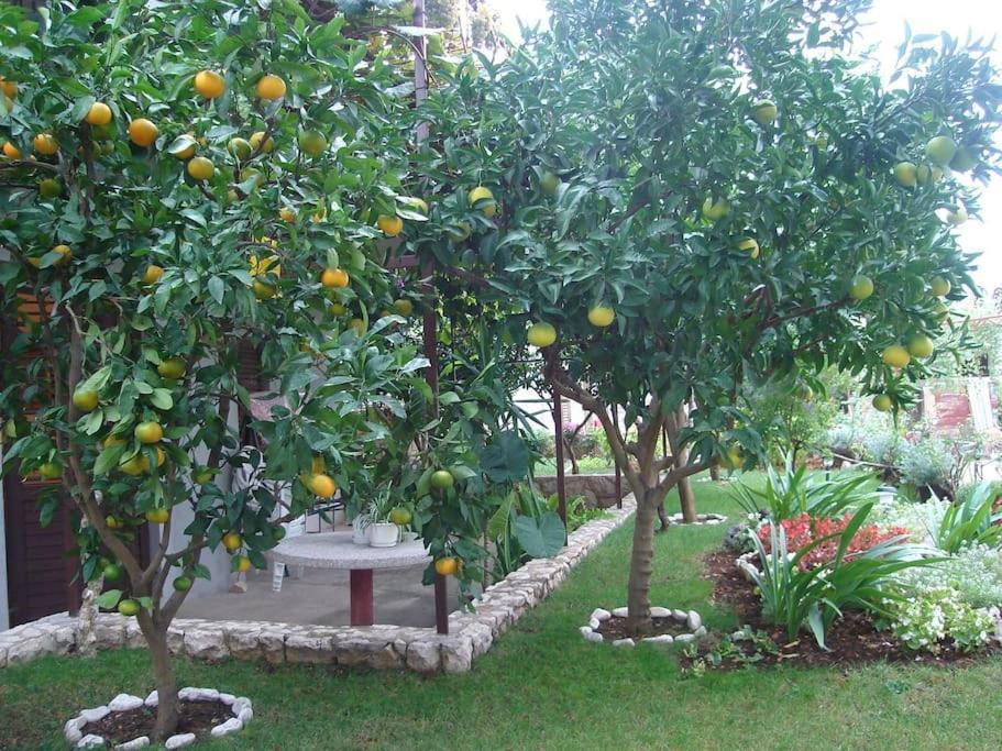 Apartment Mia - Spacious Apartment On 85 M2 With Beautiful Sea View Trogir Exterior foto